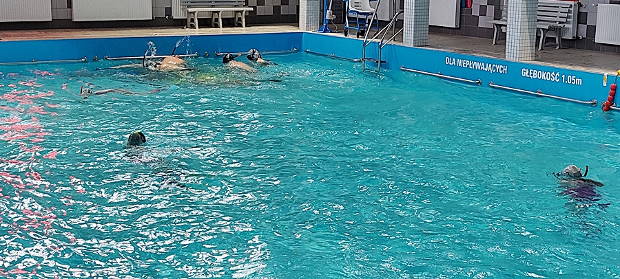 Hokej pod wodą Walenie Siemianowice Śląskie Trening 11 III 2023